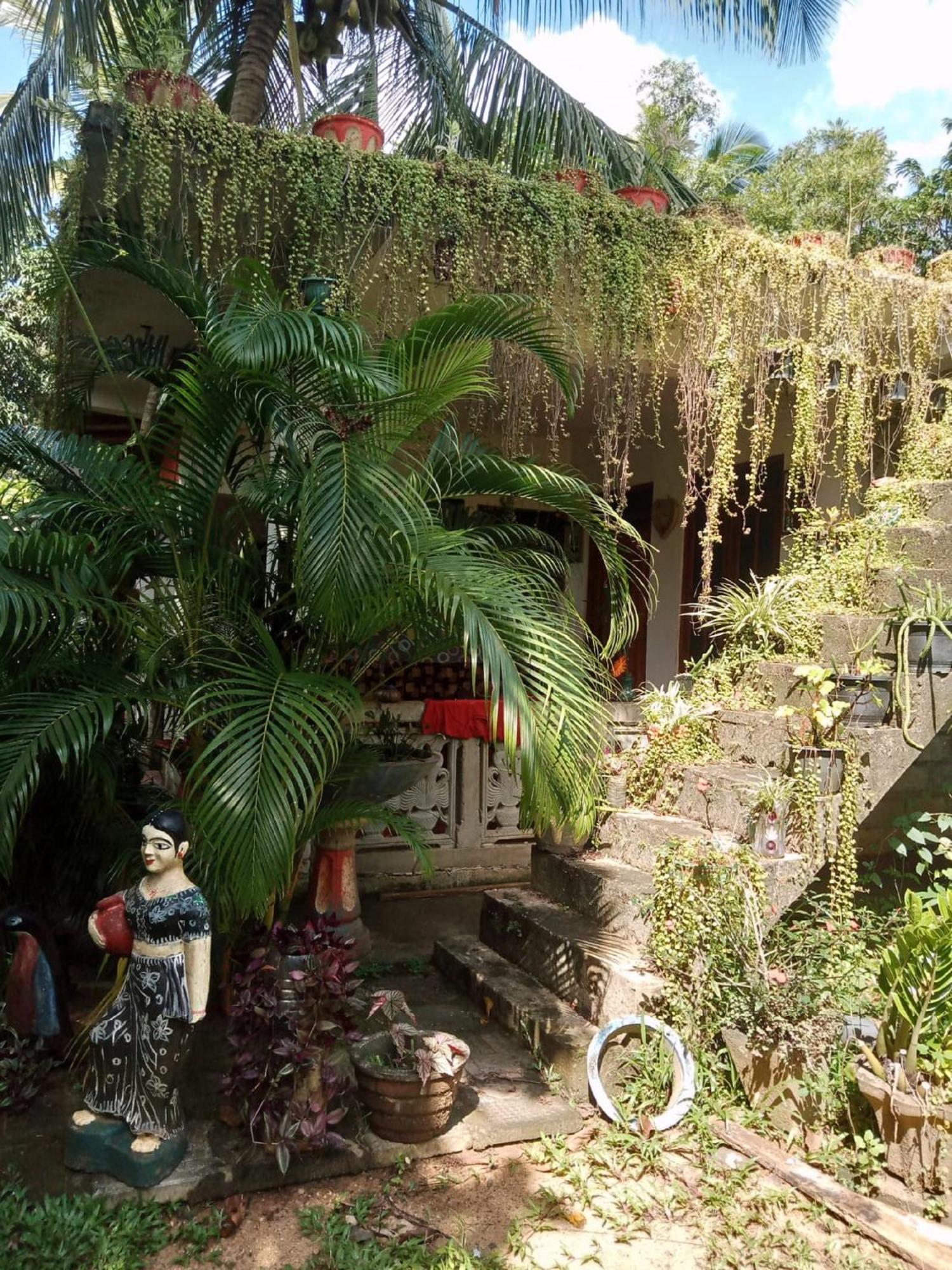 Nelum Home Stay Sigiriya Esterno foto
